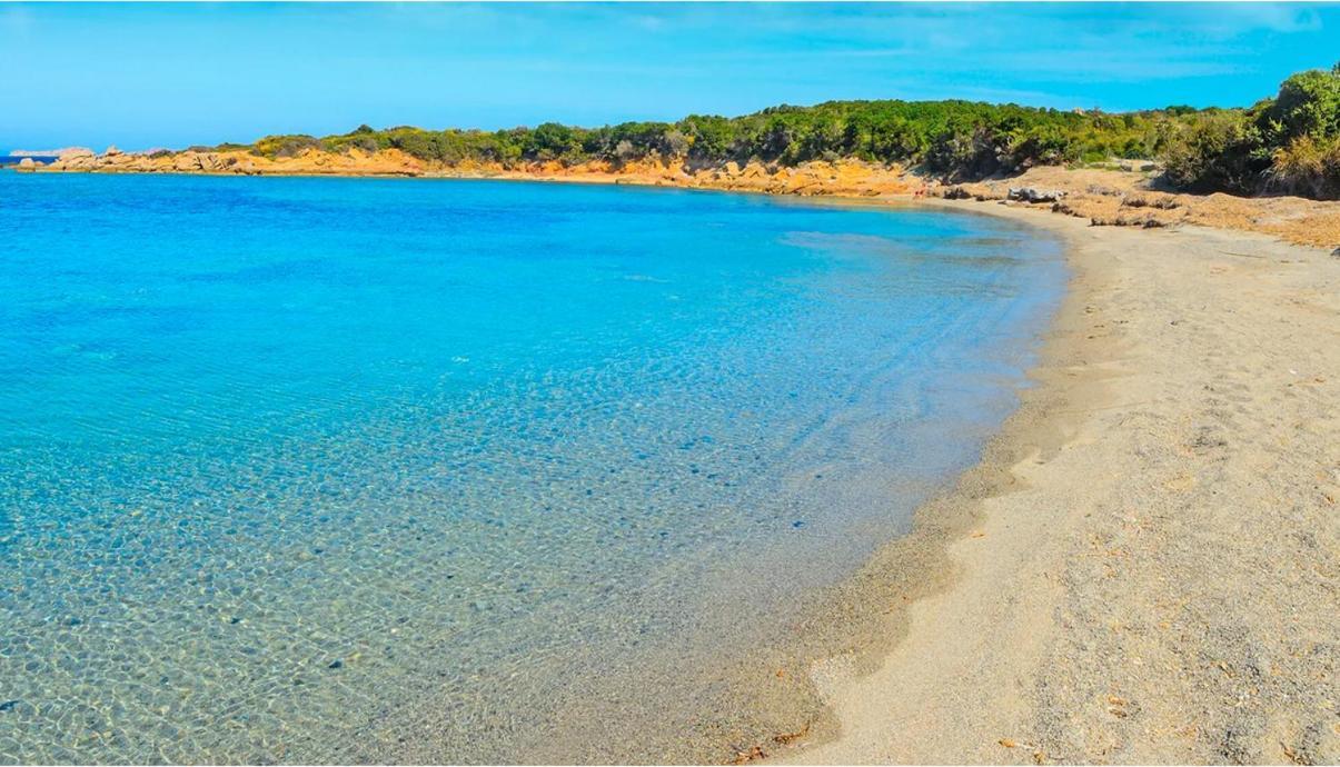 Maisonnette Climatisee A 35M De La Plage De La Capte Hyeres别墅 外观 照片