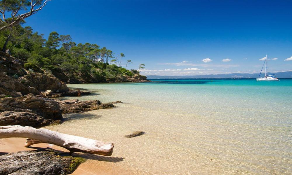 Maisonnette Climatisee A 35M De La Plage De La Capte Hyeres别墅 外观 照片